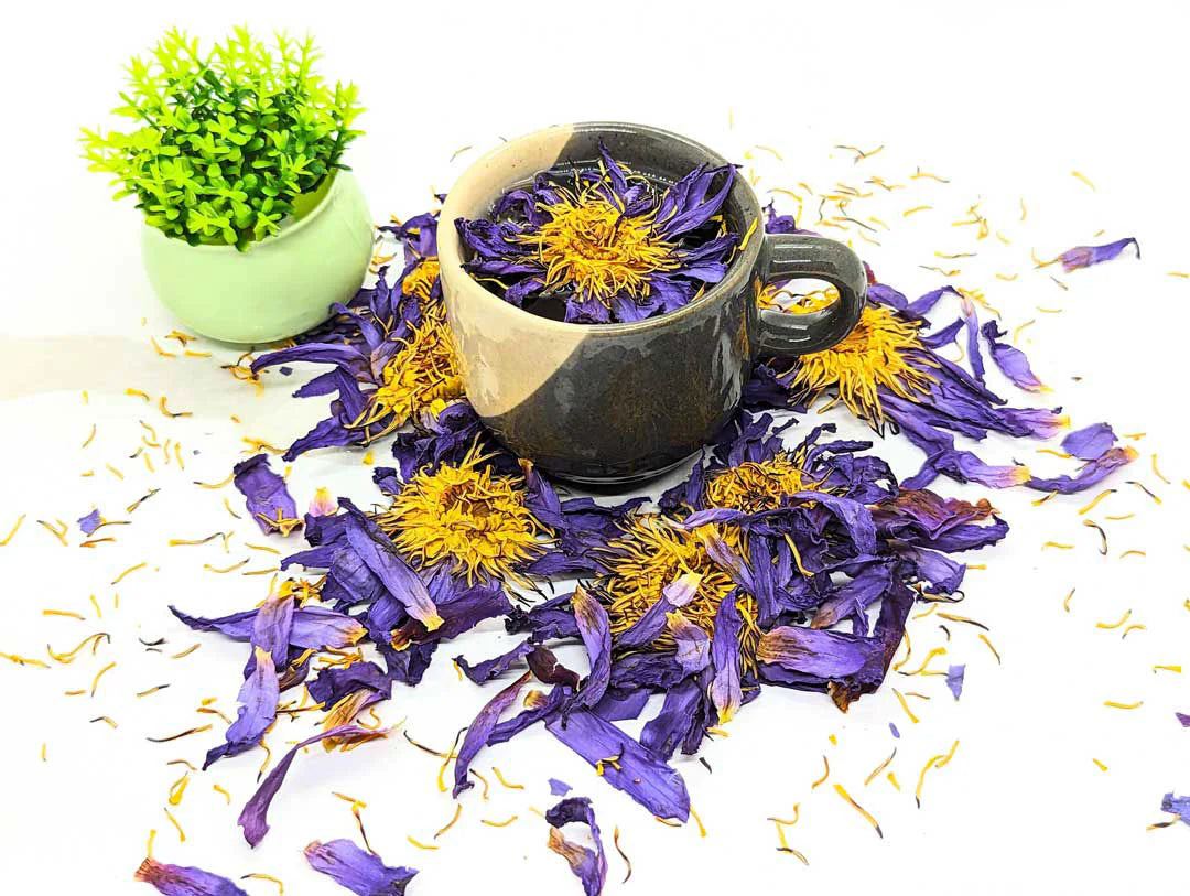 Blue Lotus Tea - Blue Lotus Flowers | 100% Natural Herbal Tea