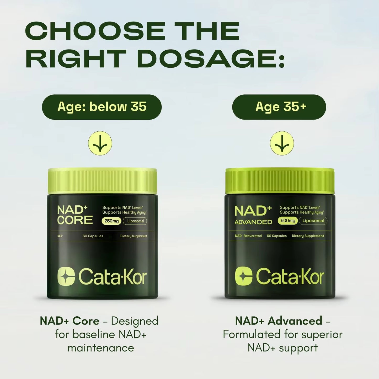 NMNH Supplement Alternative - Liposomal NAD(CORE) with Resveratrol - High Purity NAD Supplement for Anti-Aging, Energy, Focus
