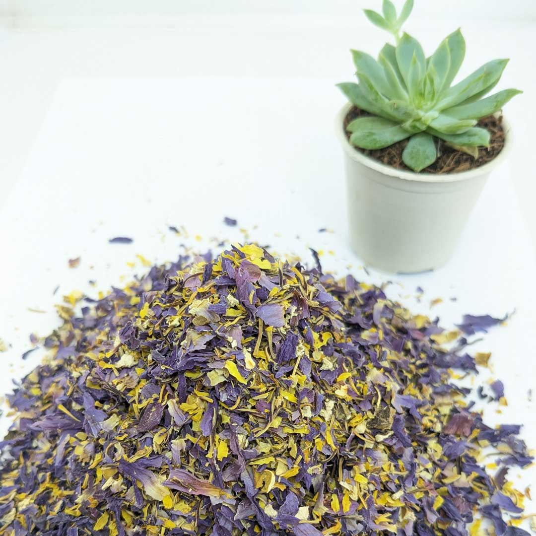 Blue Lotus Tea - Blue Lotus Flowers | 100% Natural Herbal Tea