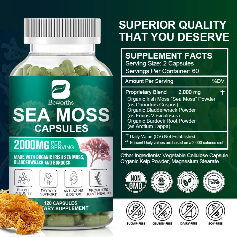 BEWORTHS Vegetarian Diet Organic Sea Moss Capsule Helps Immune System ,Joint Health Intestinal Cleansing Thyroid Supplement