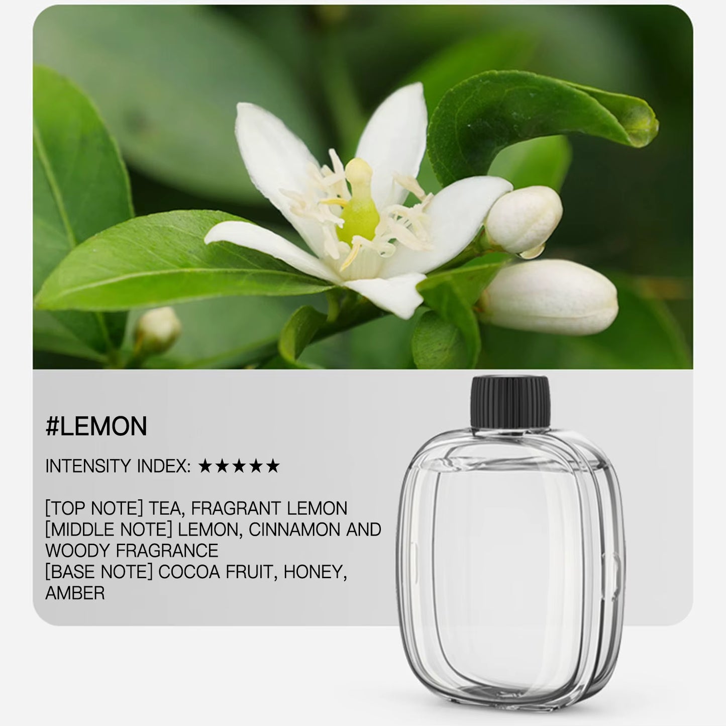 50ML Essential Oil for Aroma Diffuser Fragrance Essential Oil Aromatherapy Natural Plant Extract Home Car Bedroom Air Freshener