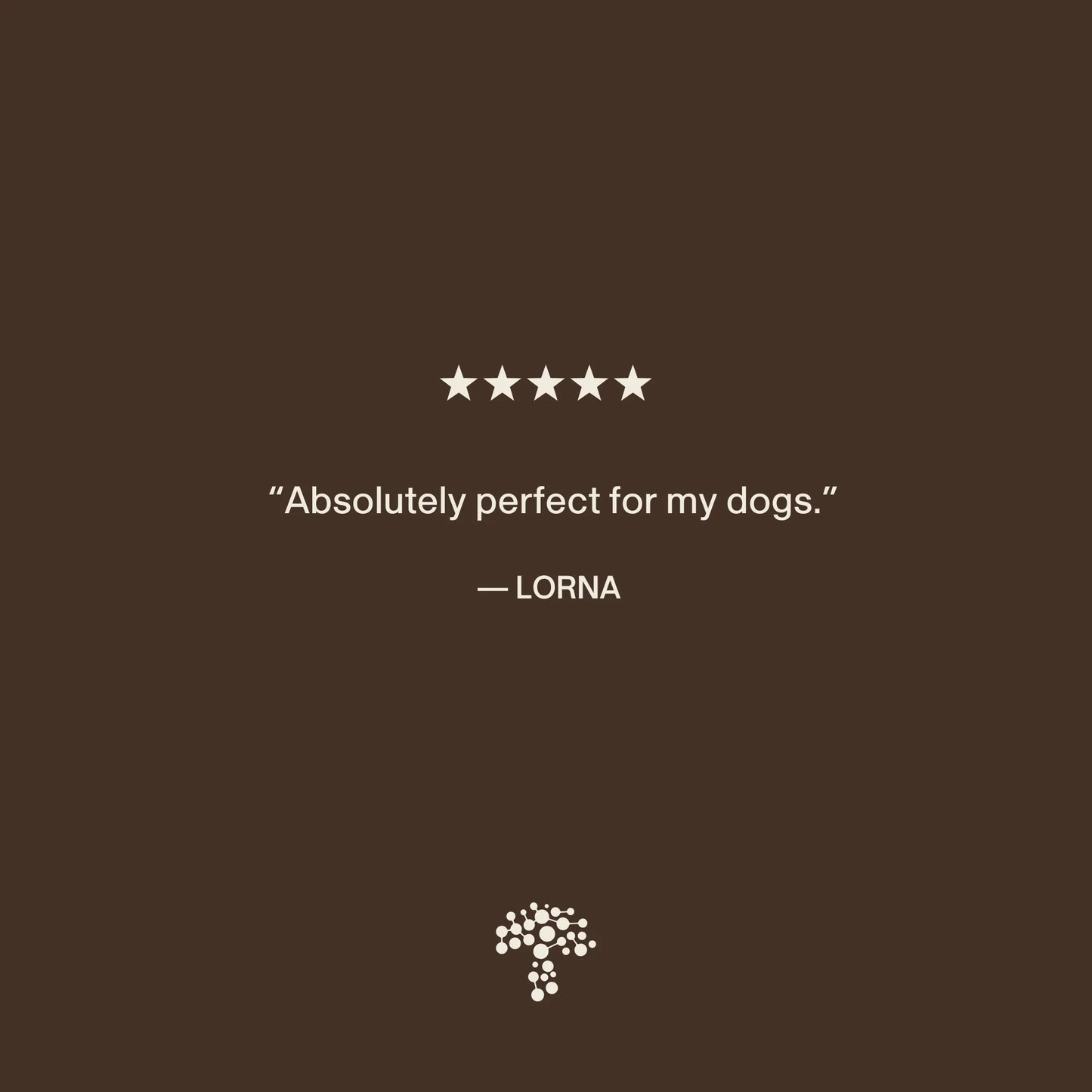 Organic Lions Mane Extract Capsules for Pets