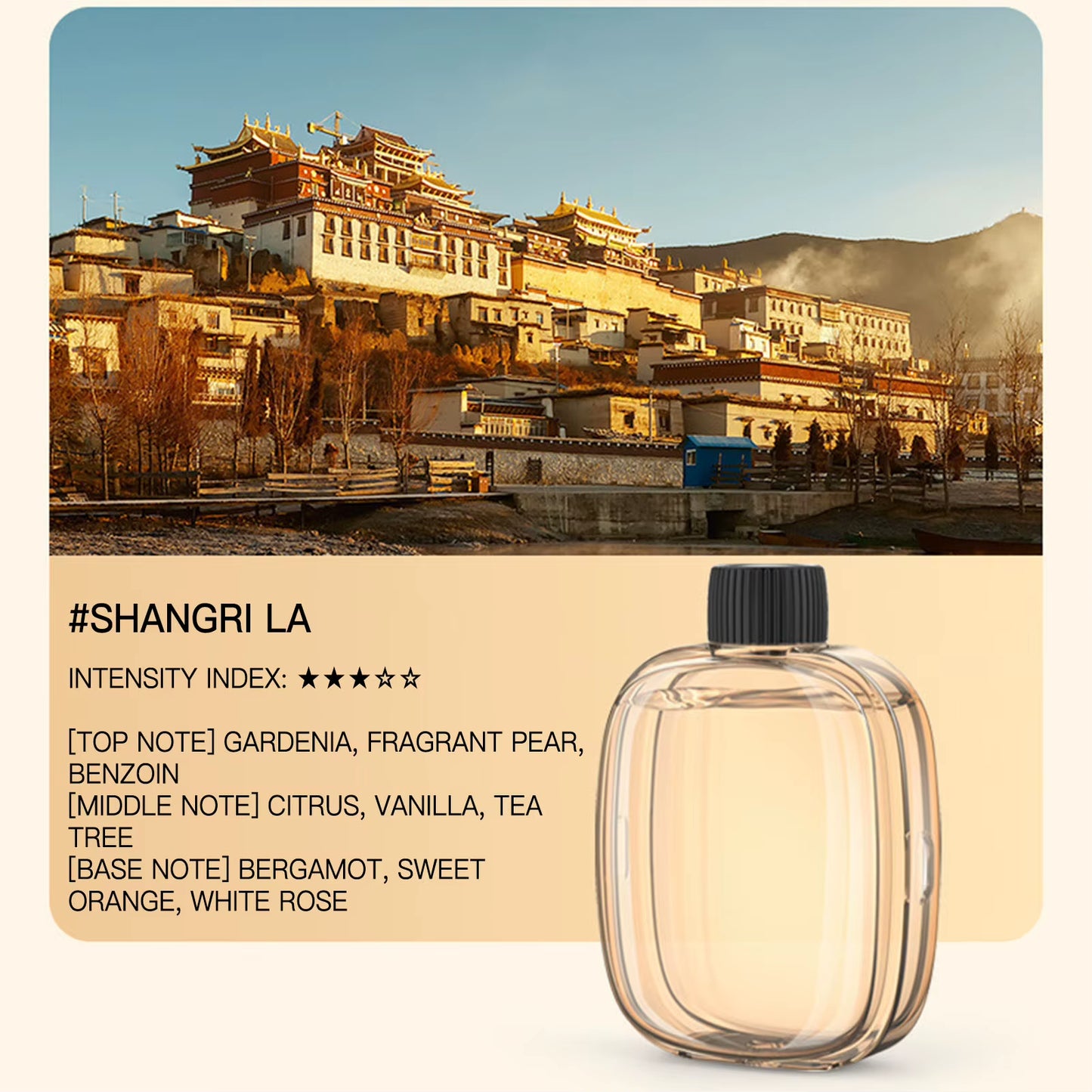 50ML Essential Oil for Aroma Diffuser Fragrance Essential Oil Aromatherapy Natural Plant Extract Home Car Bedroom Air Freshener