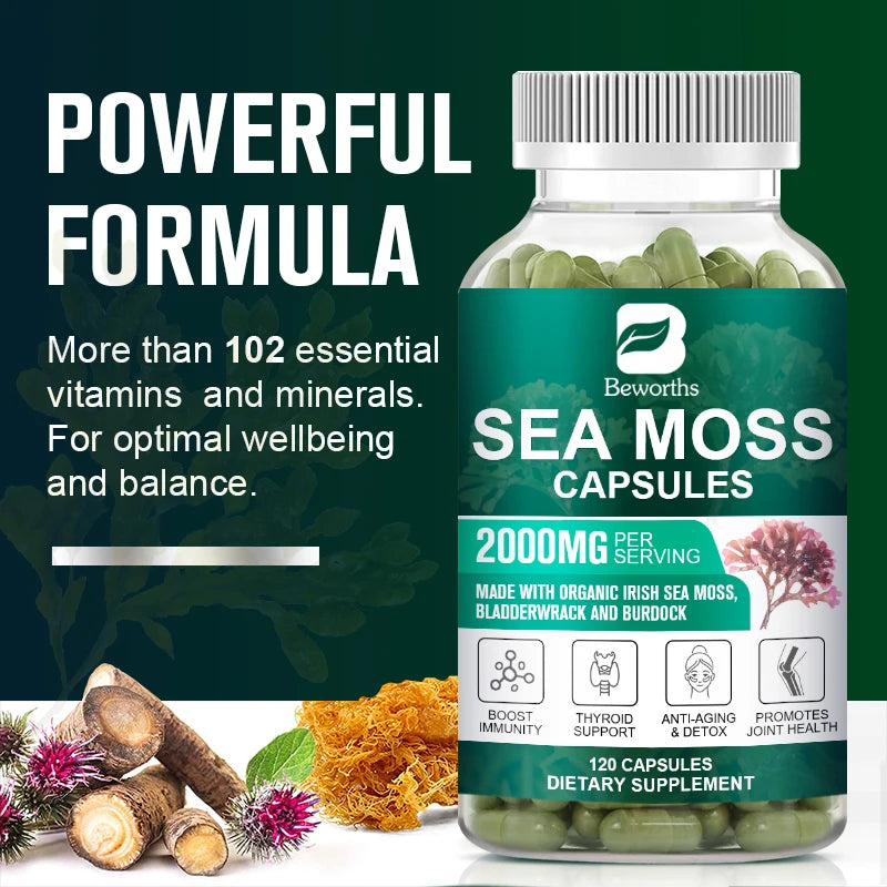BEWORTHS Vegetarian Diet Organic Sea Moss Capsule Helps Immune System ,Joint Health Intestinal Cleansing Thyroid Supplement