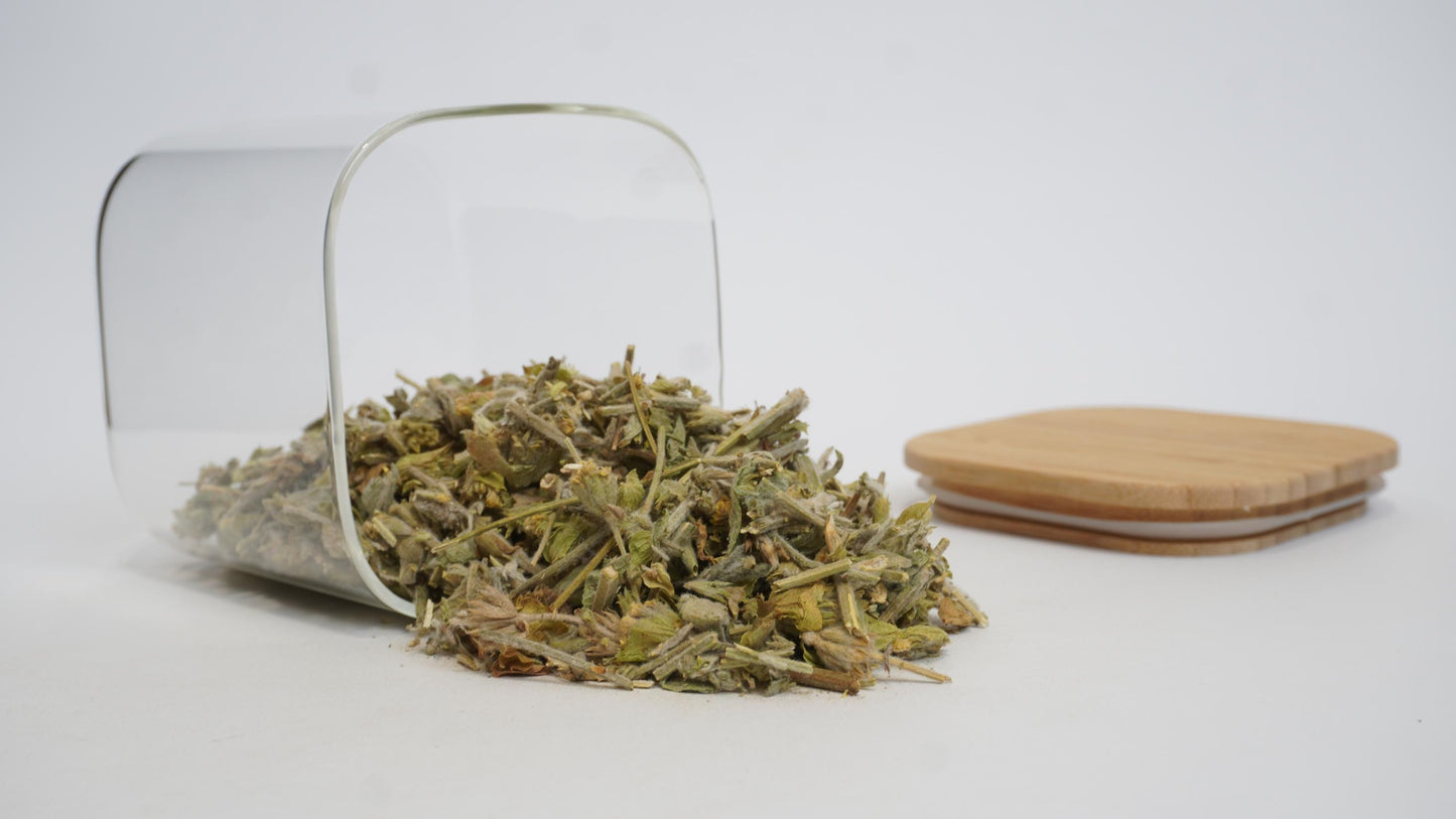 Mountain Tea | Bulgarian Mountain Tea | Sideritis Scardica| Herbal | Loose | Herb | Fresh Harvested | Premium Quality