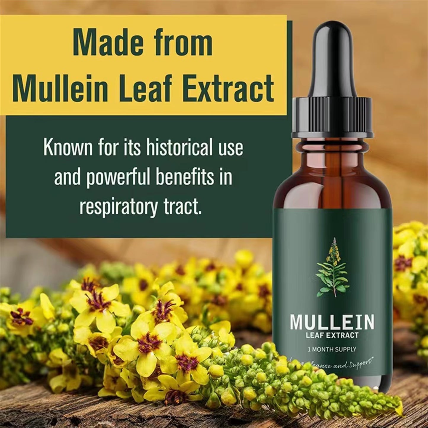 Mullein Leaf Extract - Support Nose Cleanse & Respiratory Function for Healthy Breathing - Natural Supplement-30Ml