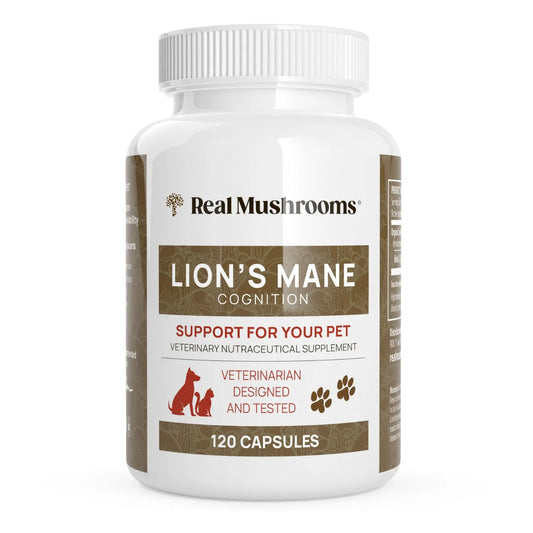 Organic Lions Mane Extract Capsules for Pets