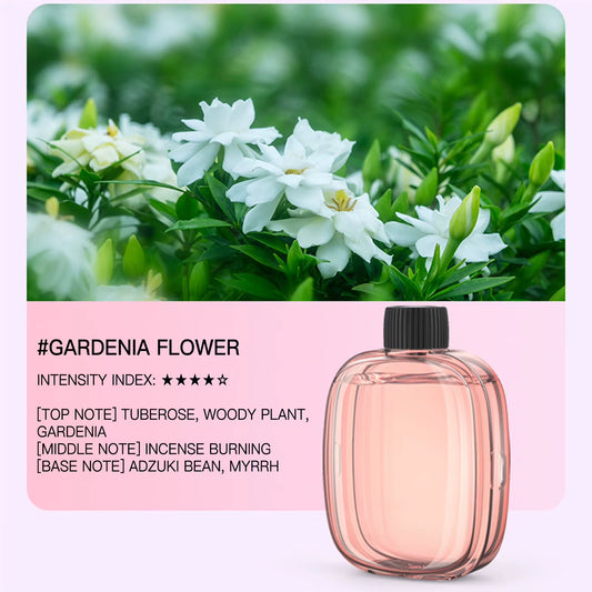 50ML Essential Oil for Aroma Diffuser Fragrance Essential Oil Aromatherapy Natural Plant Extract Home Car Bedroom Air Freshener