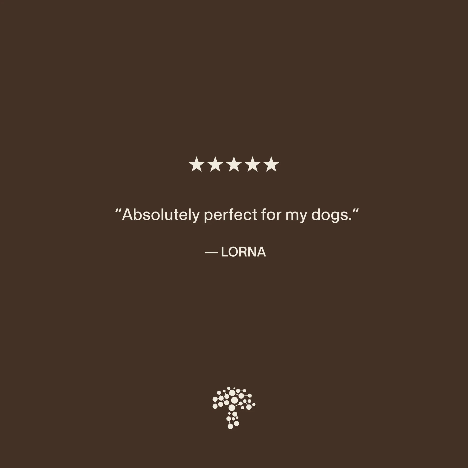 Organic Lions Mane Extract Capsules for Pets