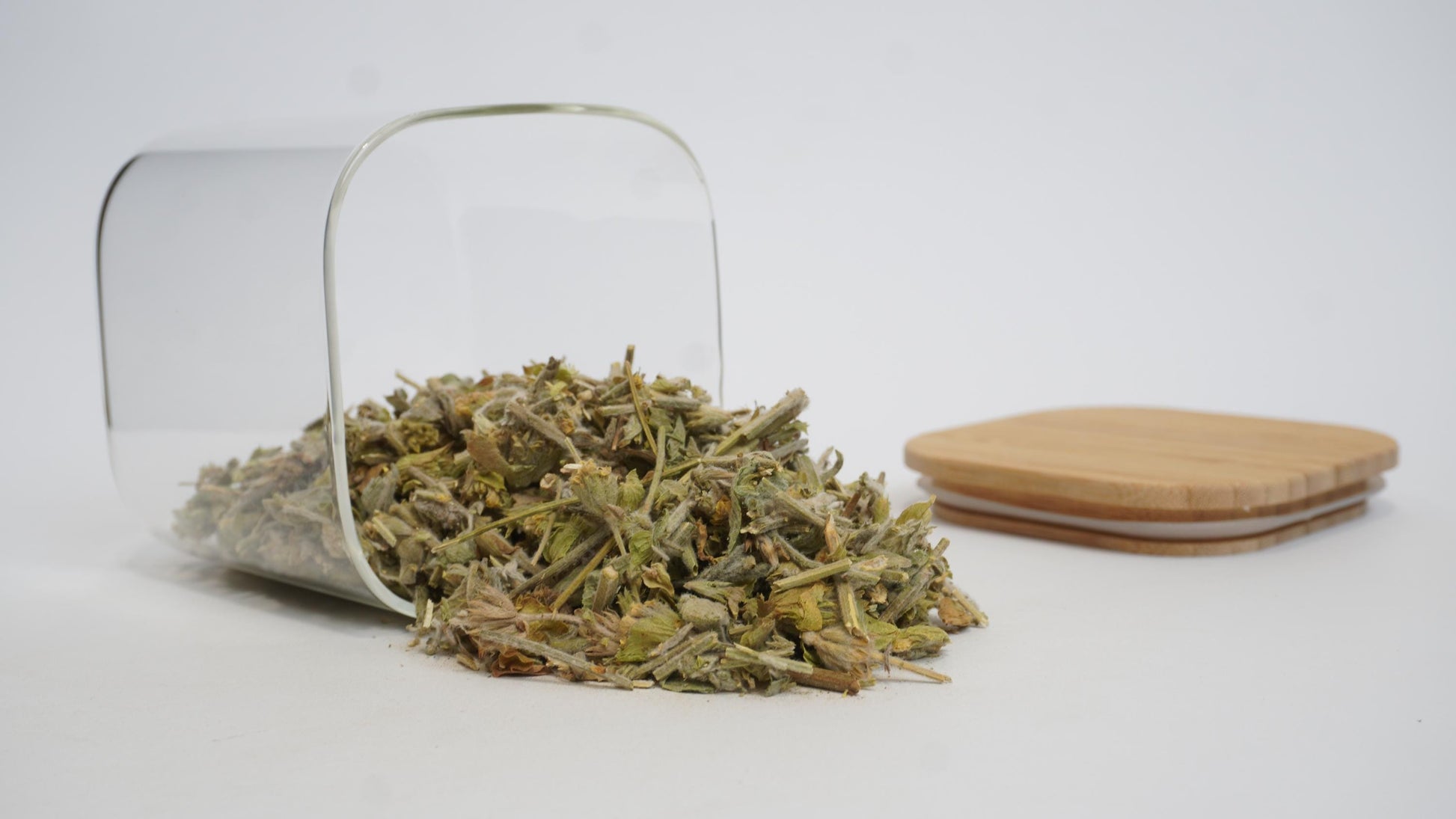 Mountain Tea | Bulgarian Mountain Tea | Sideritis Scardica| Herbal | Loose | Herb | Fresh Harvested | Premium Quality